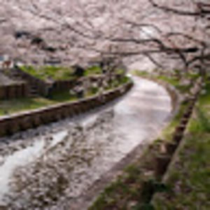 Meet your Posher, Pooja